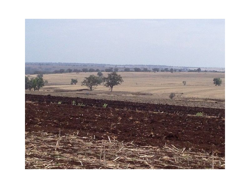 1485 Gragin Road, THE PEAK, Delungra NSW 2403