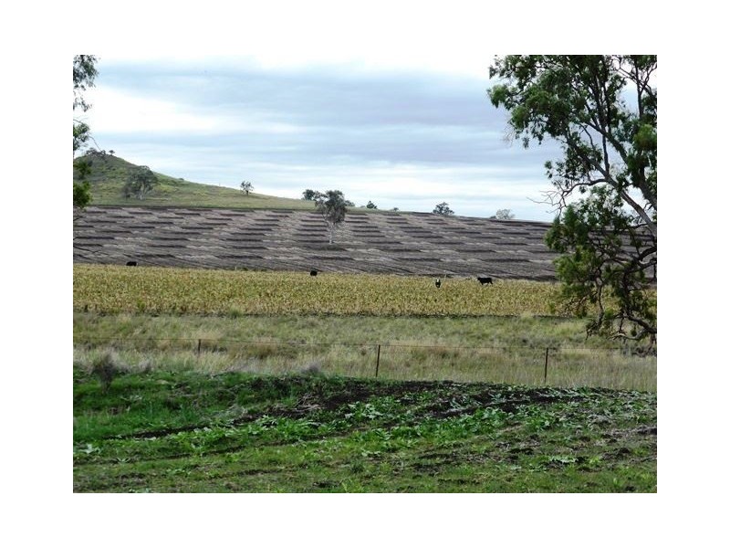 1485 Gragin Road, “THE SPRINGS”, Delungra NSW 2403