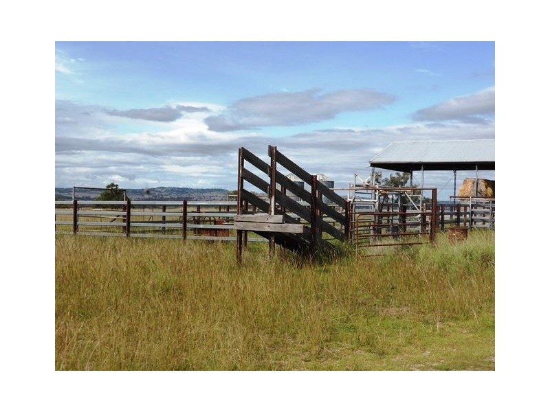 1485 Gragin Road, “THE SPRINGS”, Delungra NSW 2403