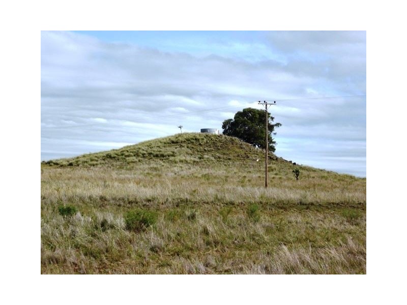 1485 Gragin Road, “THE SPRINGS”, Delungra NSW 2403