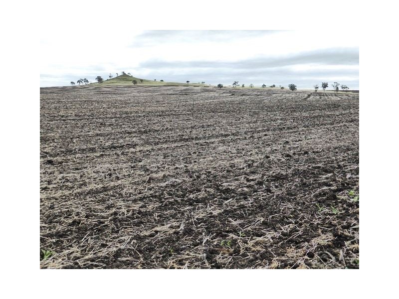 1485 Gragin Road, “THE SPRINGS”, Delungra NSW 2403