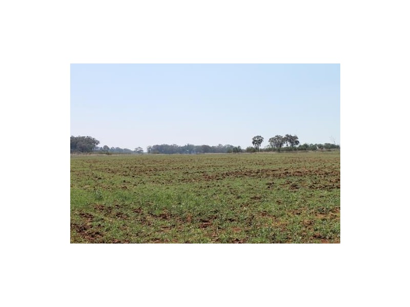 1 Mount Russell, “MONTANA”, Inverell NSW 2360