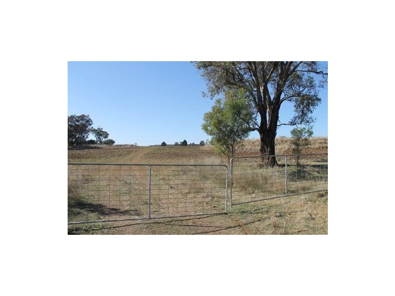 1 Mount Russell, “MONTANA”, Inverell NSW 2360