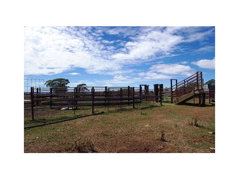 122 Carl Tomes Lane “TREASA LEE”, Inverell NSW 2360