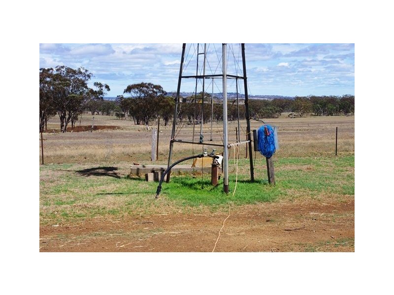 122 Carl Tomes Lane “TREASA LEE”, Inverell NSW 2360