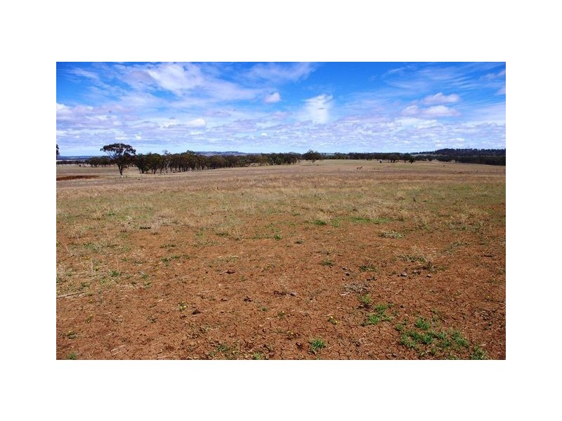 122 Carl Tomes Lane “TREASA LEE”, Inverell NSW 2360