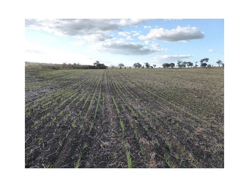 . Gragin/Glenesk Road, “UPSANDOWNS”, Inverell NSW 2360