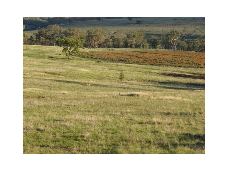 . Gragin/Glenesk Road, “UPSANDOWNS”, Inverell NSW 2360