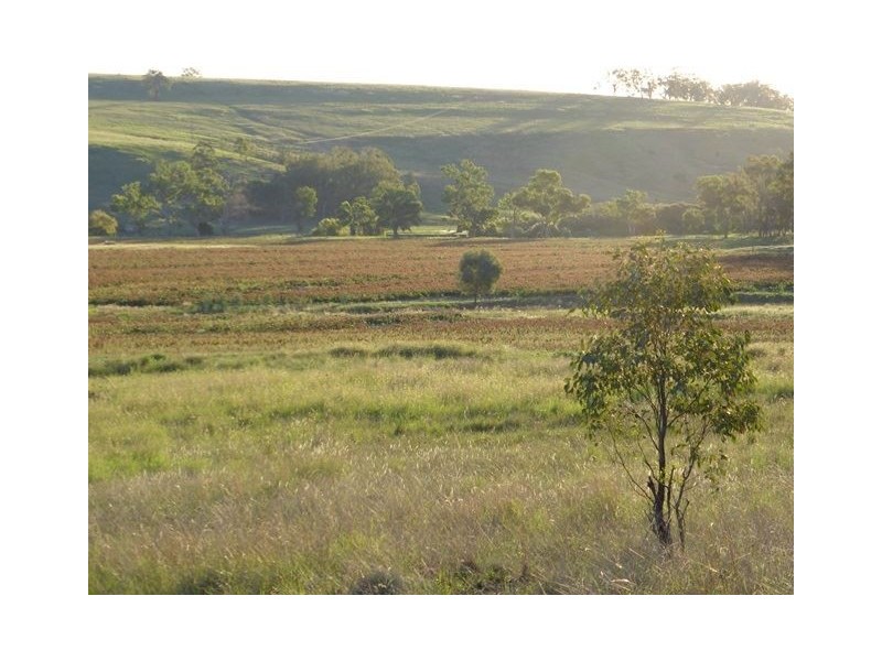 . Gragin/Glenesk Road, “UPSANDOWNS”, Inverell NSW 2360