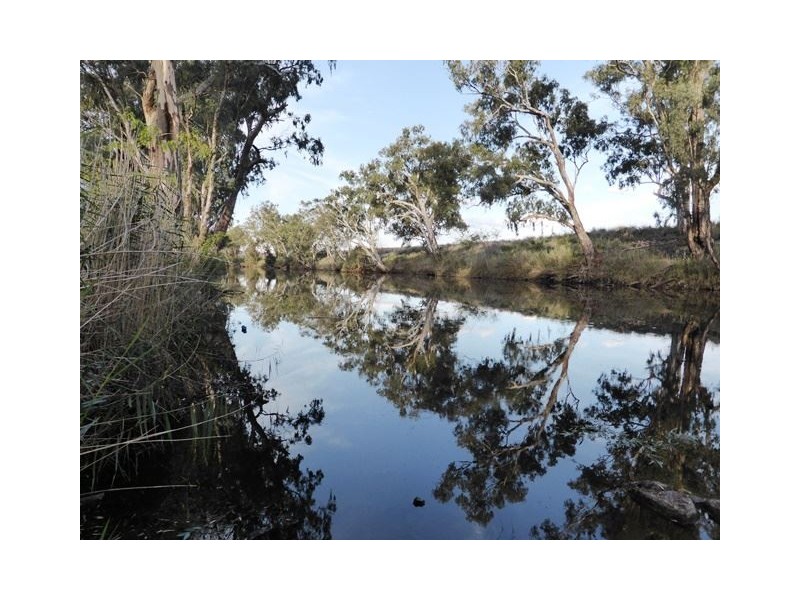 . Coalmine Road, “STRATHNAIRN”, Inverell NSW 2360