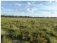 . Coalmine Road, “STRATHNAIRN”, Inverell NSW 2360