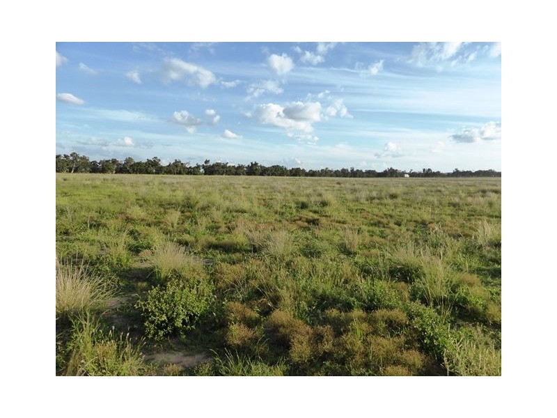 . Coalmine Road, “STRATHNAIRN”, Inverell NSW 2360