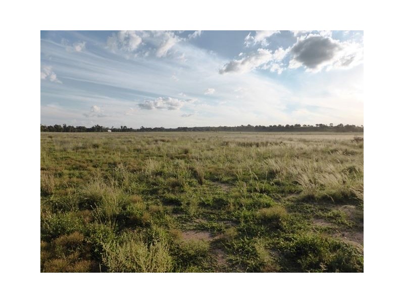. Coalmine Road, “STRATHNAIRN”, Inverell NSW 2360