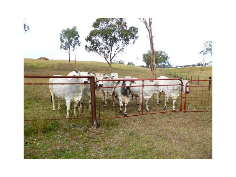 245 Nullamanna Road, Inverell NSW 2360