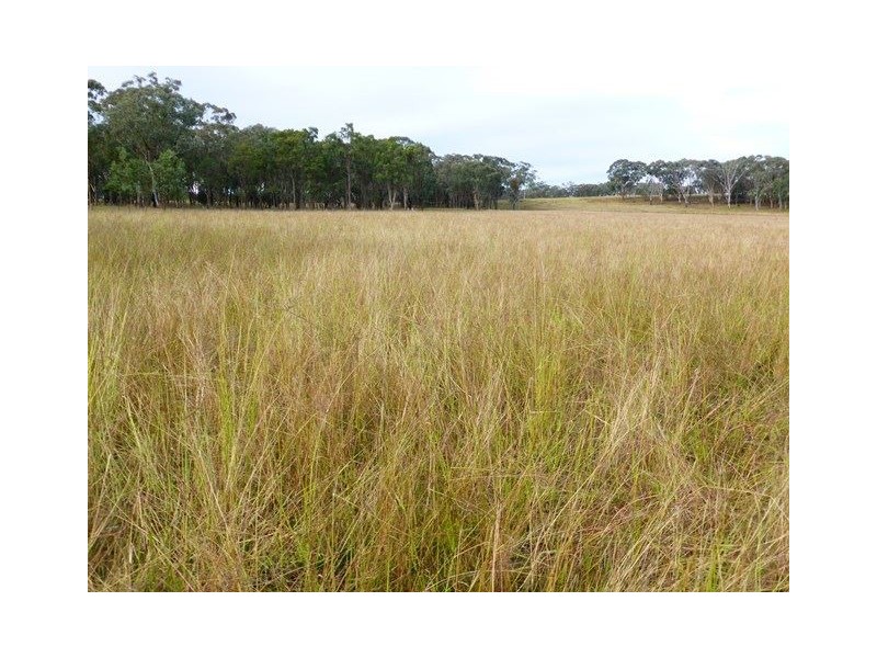 245 Nullamanna Road, Inverell NSW 2360