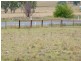 245 Nullamanna Road, Inverell NSW 2360