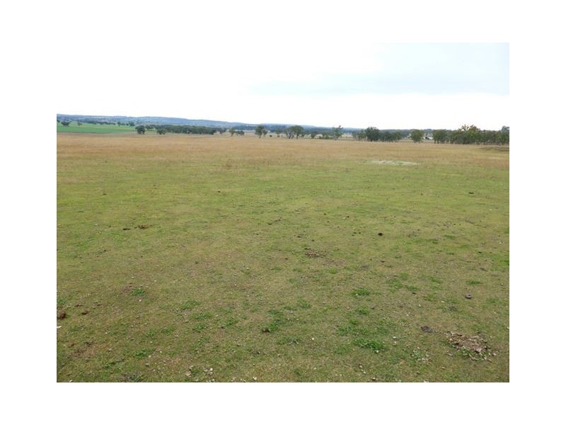 245 Nullamanna Road, Inverell NSW 2360