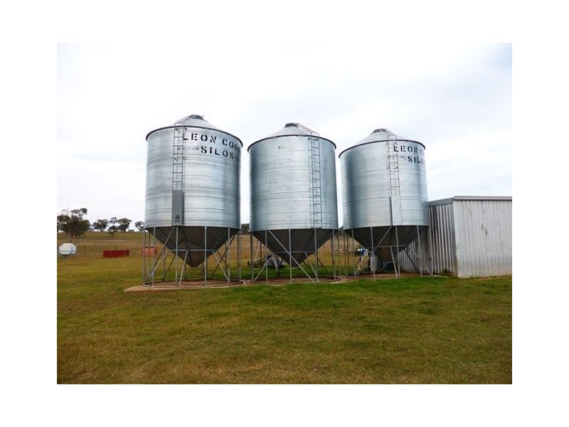 245 Nullamanna Road, Inverell NSW 2360