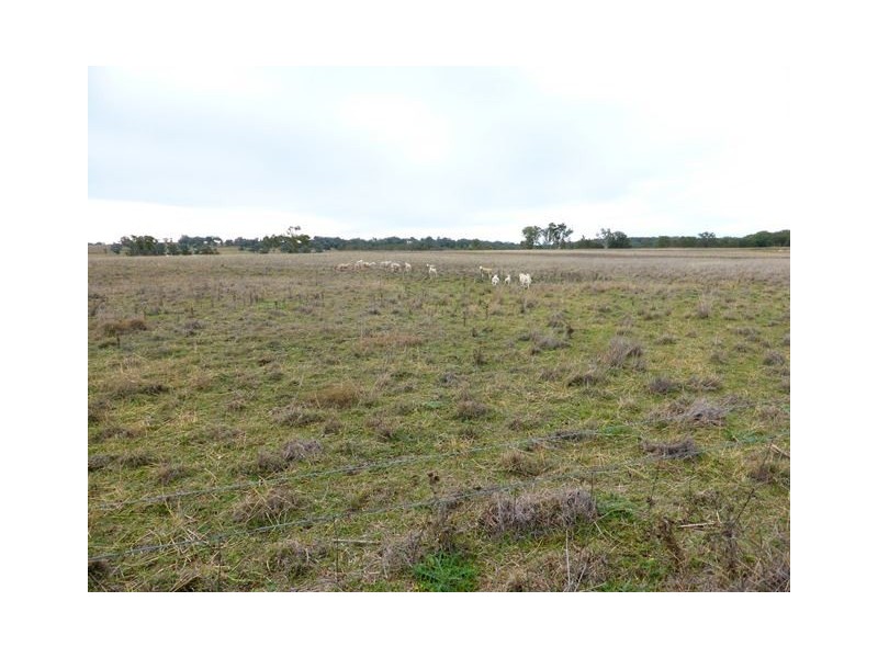 245 Nullamanna Road, Inverell NSW 2360