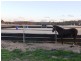 122 Roseneath Lane, Inverell NSW 2360
