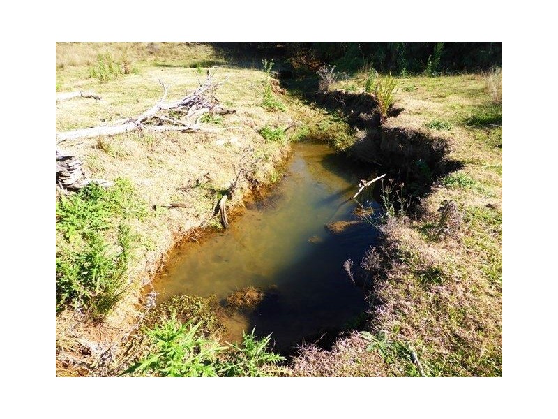 1892 Allan Cunningham Road MIDWAY, Warialda NSW 2402