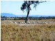 1892 Allan Cunningham Road MIDWAY, Warialda NSW 2402
