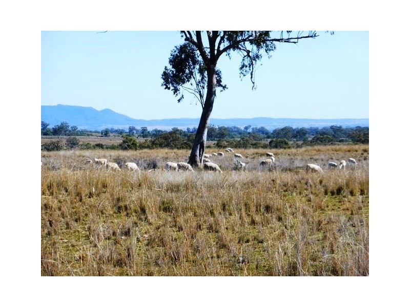 1892 Allan Cunningham Road MIDWAY, Warialda NSW 2402