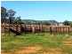 1892 Allan Cunningham Road MIDWAY, Warialda NSW 2402