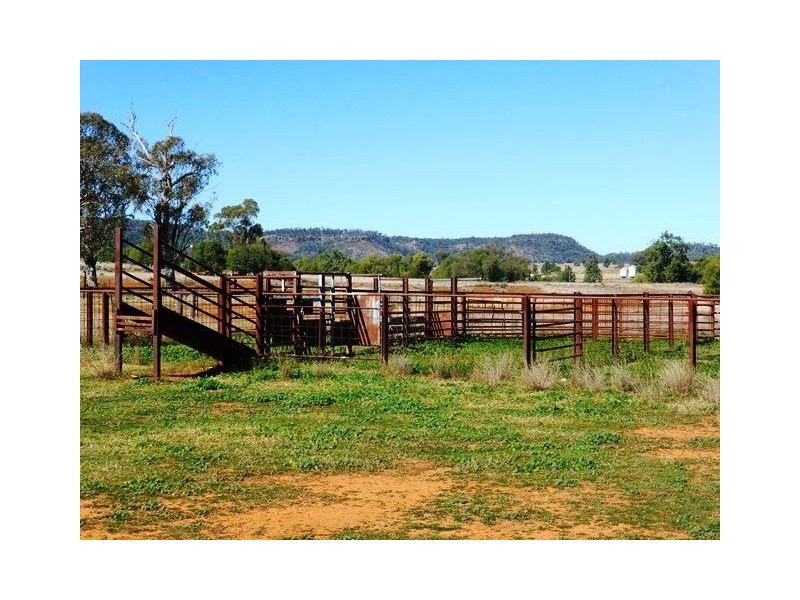 1892 Allan Cunningham Road MIDWAY, Warialda NSW 2402