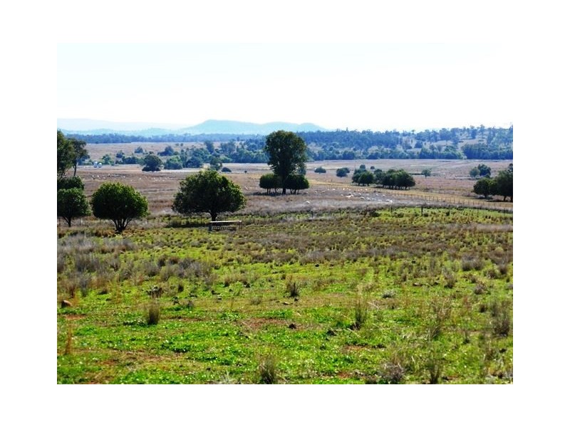 1892 Allan Cunningham Road MIDWAY, Warialda NSW 2402