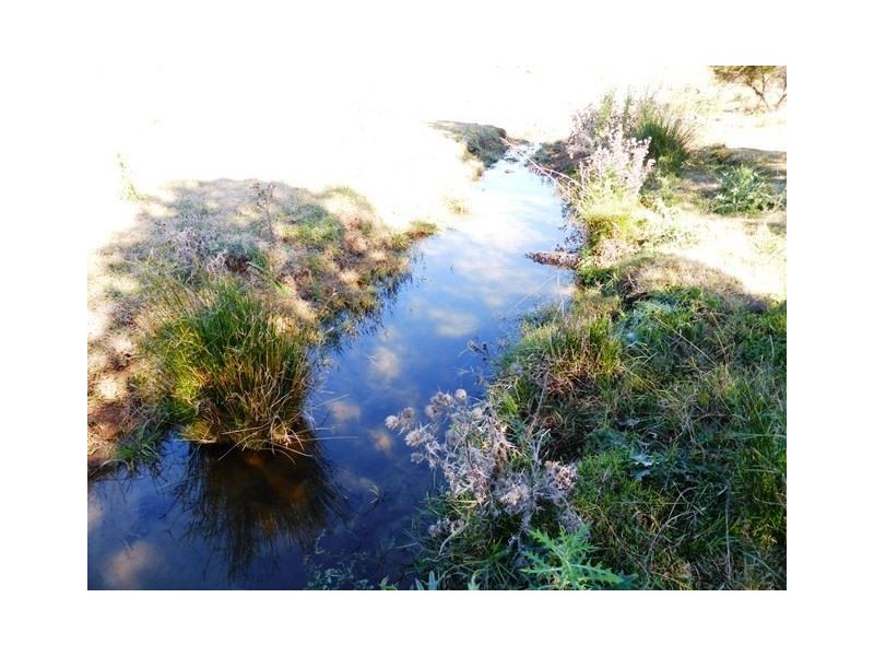 1892 Allan Cunningham Road MIDWAY, Warialda NSW 2402