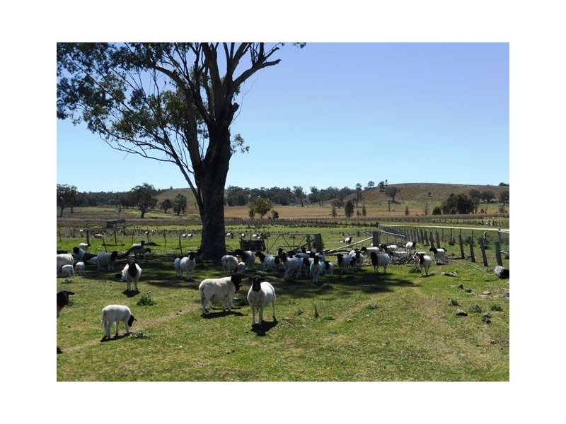 2426 Copeton Dam Road, EMU HILL, Inverell NSW 2360