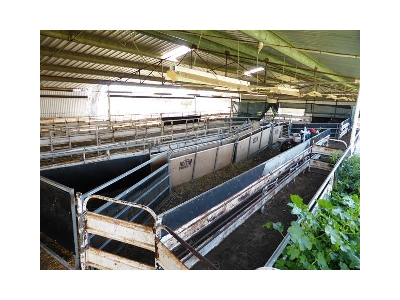 2426 Copeton Dam Road, EMU HILL, Inverell NSW 2360