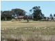 2426 Copeton Dam Road, EMU HILL, Inverell NSW 2360