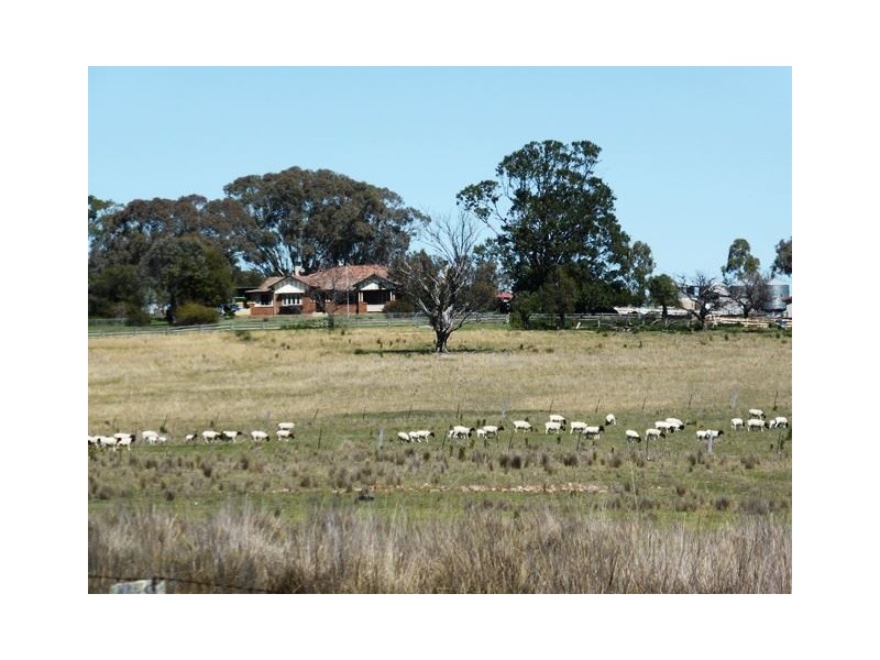 2426 Copeton Dam Road, EMU HILL, Inverell NSW 2360