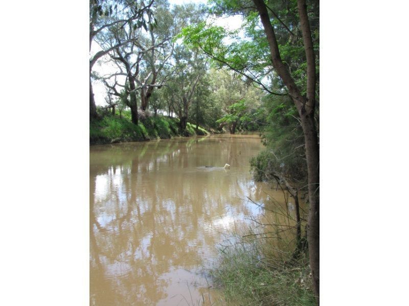 . CARRAMAR, Warren NSW 2824