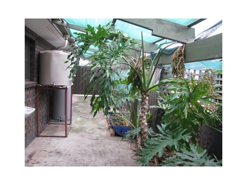 24 Boston St, Warren NSW 2824