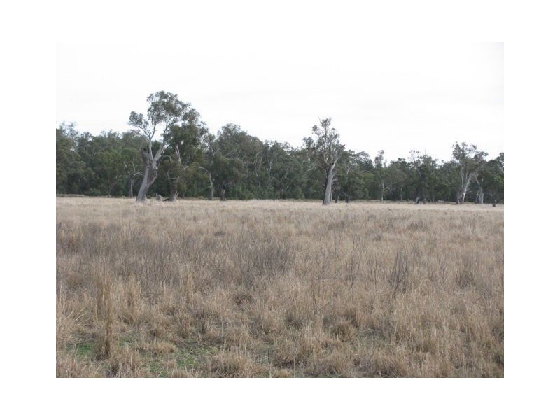 Lts1 & 3 Wambianna Rd, Warren NSW 2824