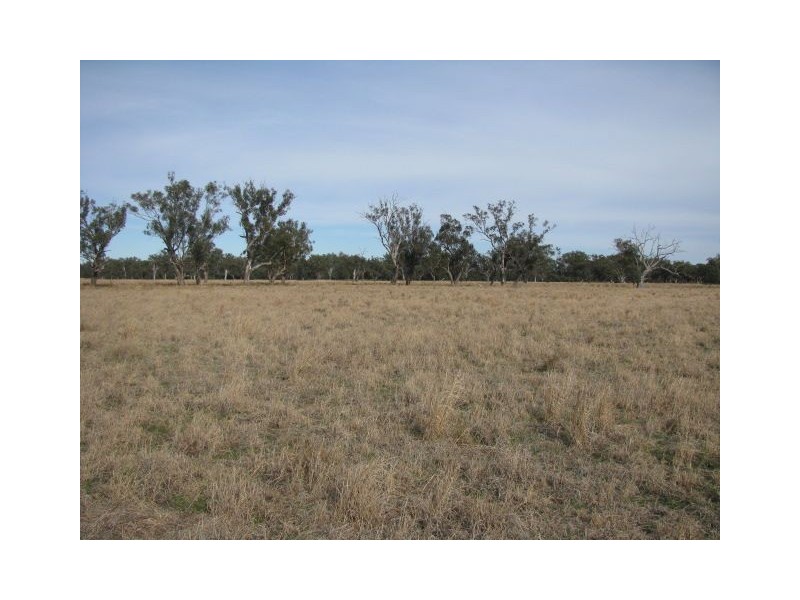 Lts1 & 3 Wambianna Rd, Warren NSW 2824