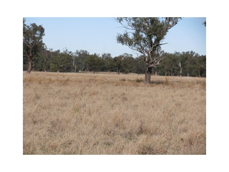 Lts1 & 3 Wambianna Rd, Warren NSW 2824