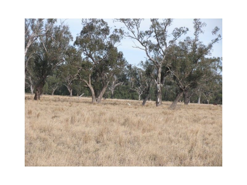 Lts1 & 3 Wambianna Rd, Warren NSW 2824