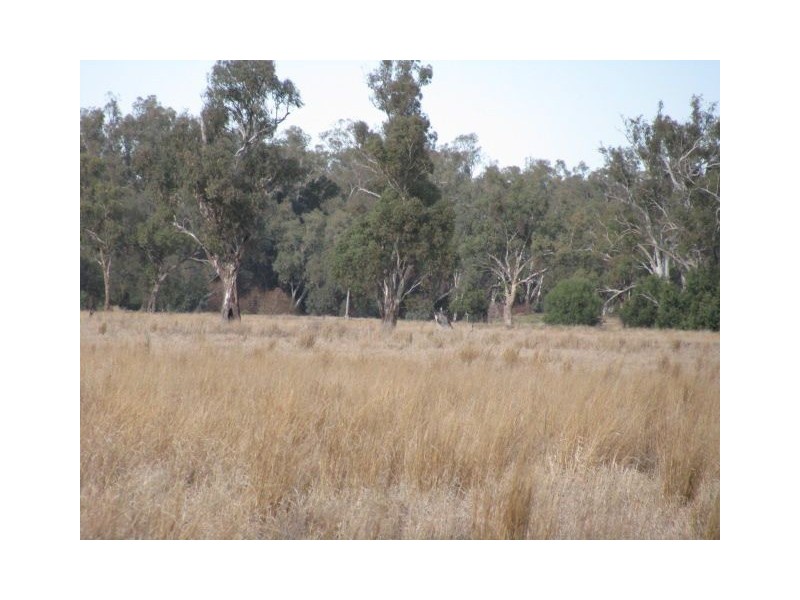 Lts1 & 3 Wambianna Rd, Warren NSW 2824