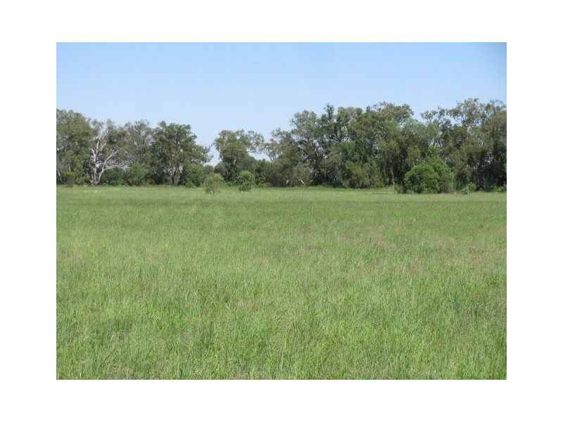 0 Kentucky Estate, Block 5, Warren NSW 2824