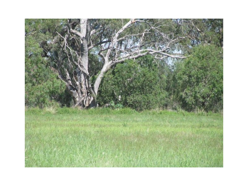 0 Kentucky Estate, Block 5, Warren NSW 2824