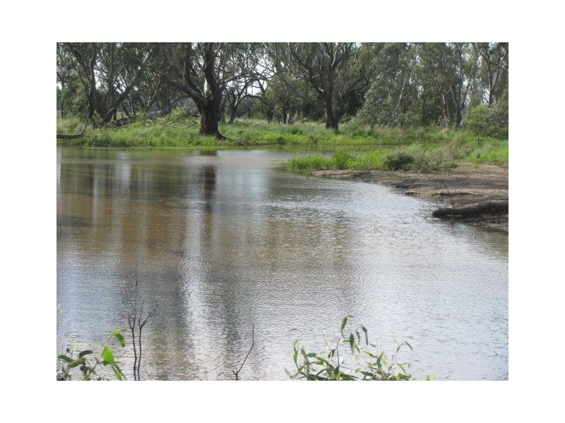 . Macquarie River Cattle Country, Warren NSW 2824