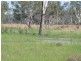 . Macquarie River Cattle Country, Warren NSW 2824