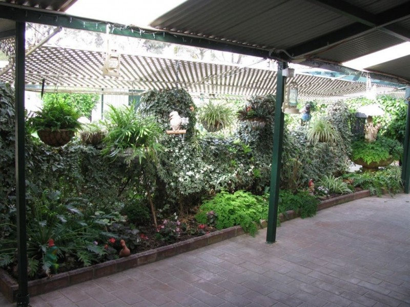 19 Glen St, Warren NSW 2824