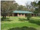3353 Wambianna Rd, Warren NSW 2824