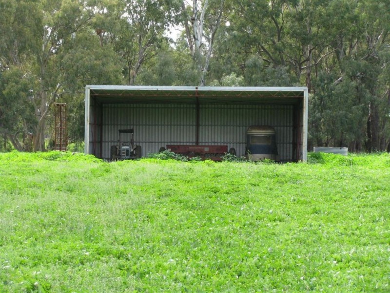 3353 Wambianna Rd, Warren NSW 2824