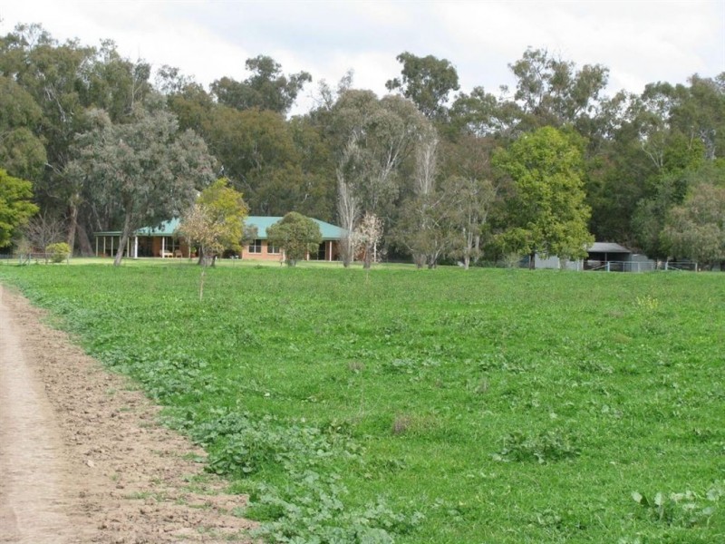 3353 Wambianna Rd, Warren NSW 2824